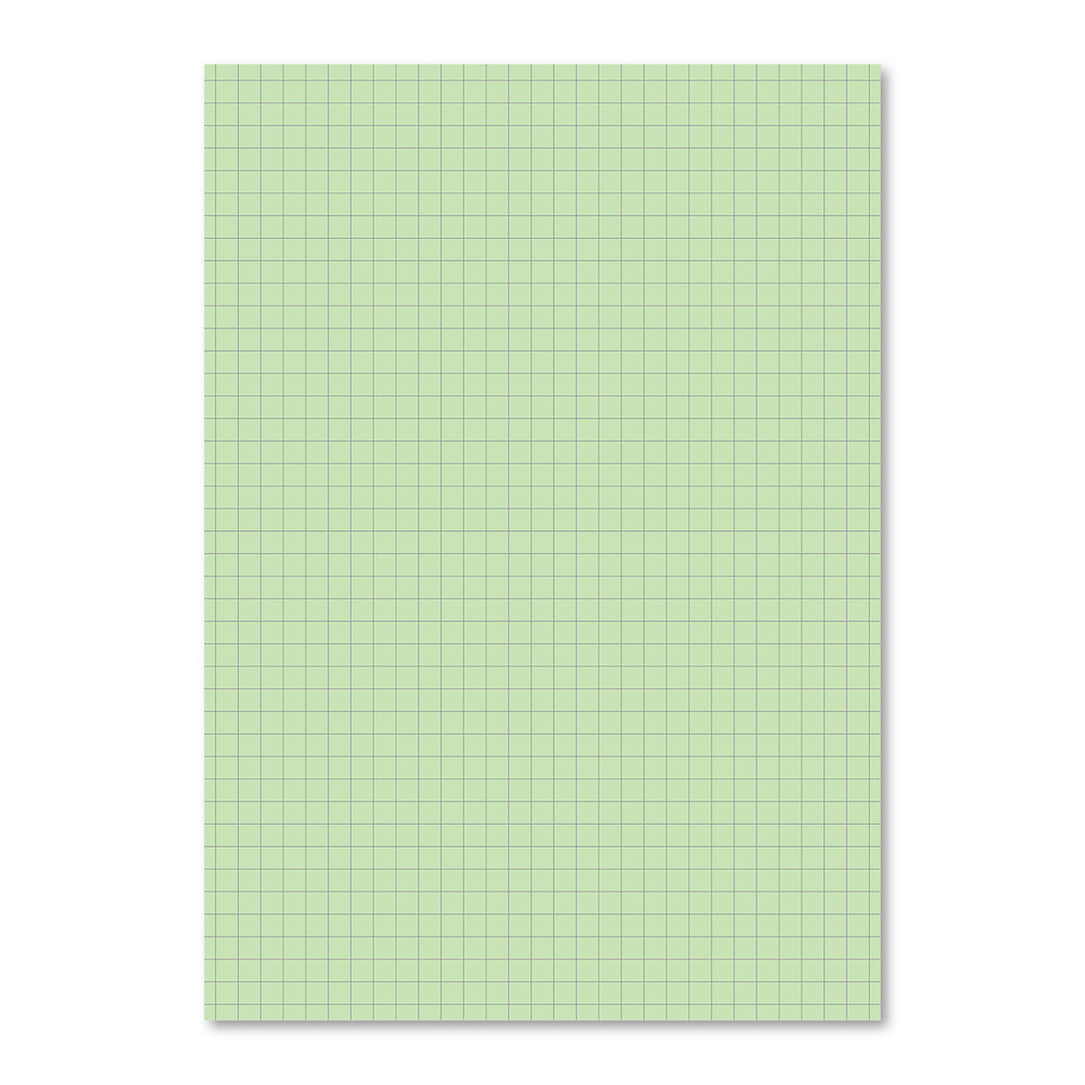 Exercise Book A4 80 Page Green  7mm Squared Light Blue