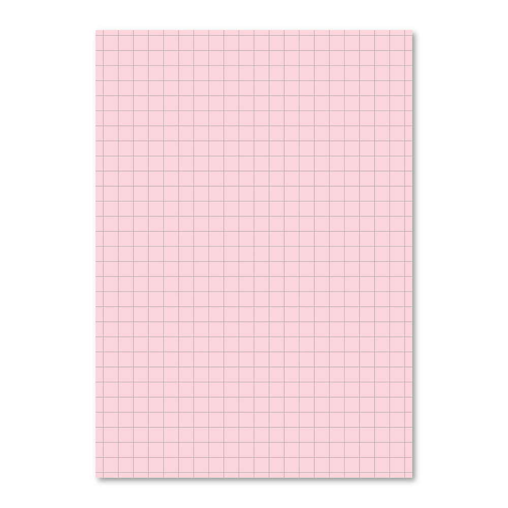 Exercise Book A4 80 Page Pink 10mm Squared Light Blue 